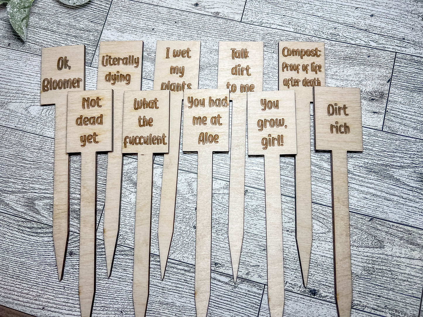 Funny Plant Stakes