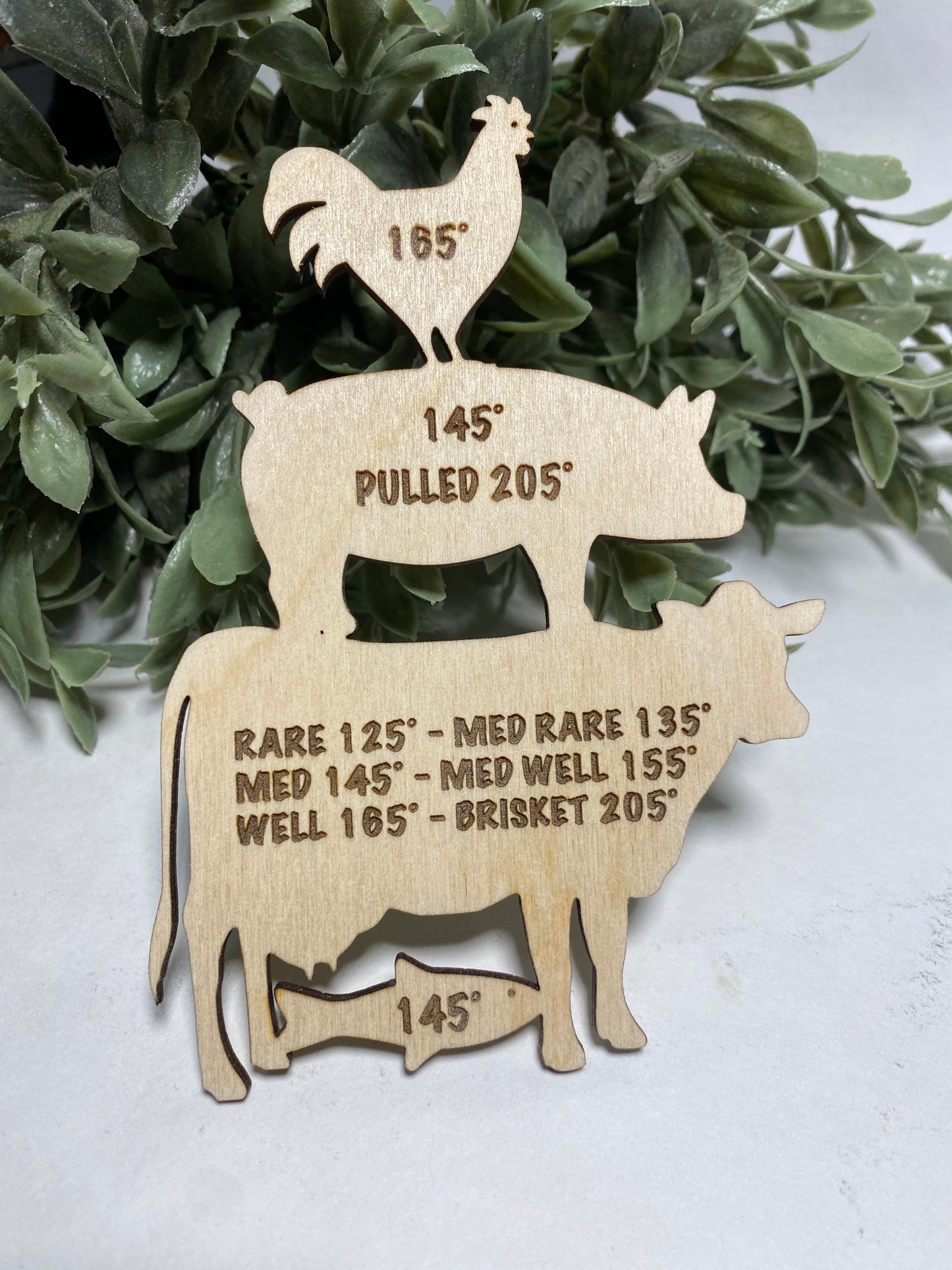 Meat temperature Magnet for Chicken, Beef, Pork, and Fish